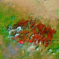 MODIS view of burn scar from merged Cheldiski-Rodeo fires.