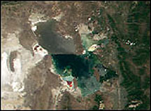 MODIS subscene in approximately true color, showing the sharp divide within the Great Salt Lake; the upper part contains much more silt in contrast to the clearer water in the lower part.