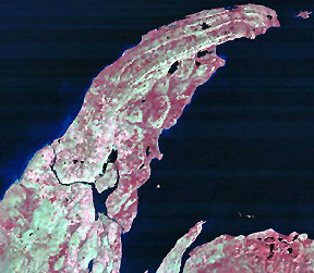 Band 4(red), 3(green), and 2(blue) TM false color composite of the Keweenaw Peninsula