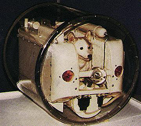 The dog Laika in his training capsule prior to his ground-breaking spaceflight.