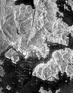 SIR-C image of Hong Kong; note the characteristic mark of most radar images, namely, the distortion of hilly topography (one slope bright; foreshortening of that slope)