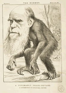 Charles Darwin of Gower Street