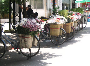 Early evening - flower sellers appear in front of the hotel in search of custom from workers returning home