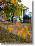 Autumn view across UCL's main quad