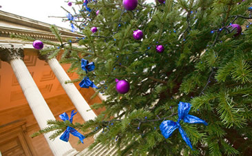Christmas tree, UCL Portico