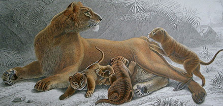Illustration of a lioness and her cubs