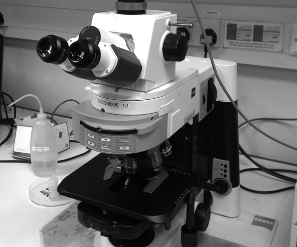 Zeiss Axio Imager Widefield Fluorescence Microscope