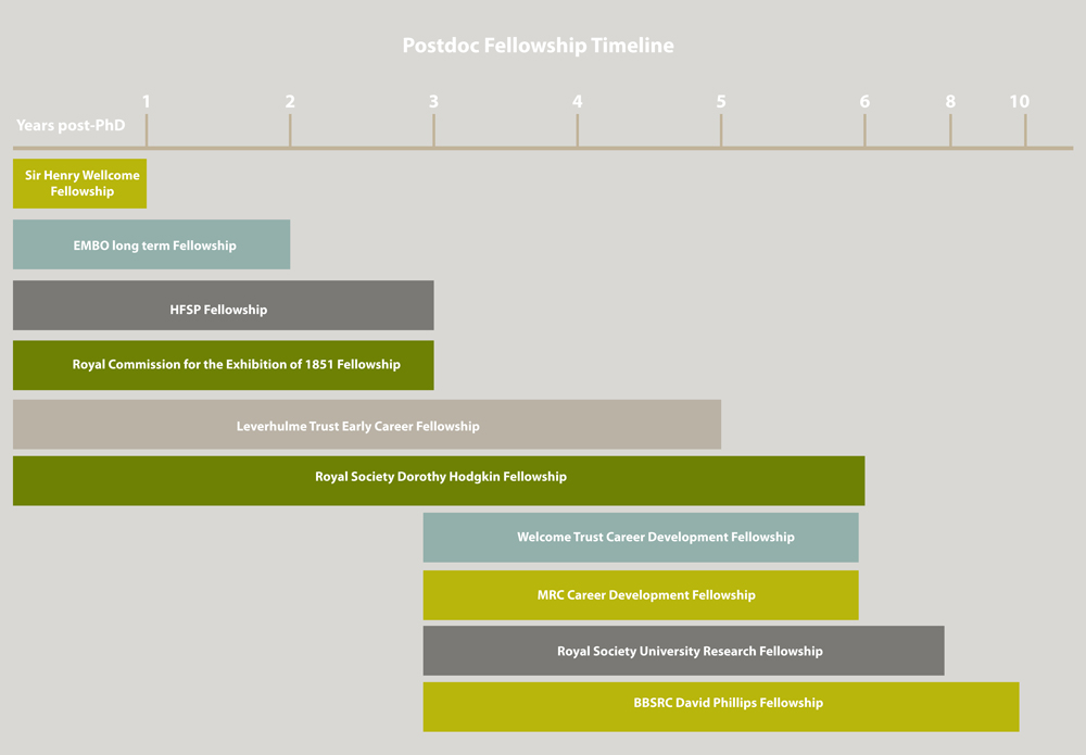 Graphic representation of postdoc fellowship timeline