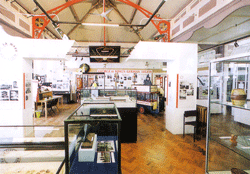 Bexhill Museum interior