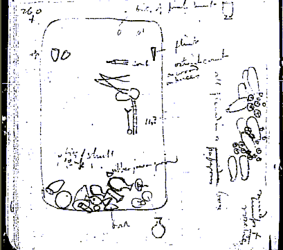Naqada, tomb 260, notebook 