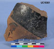 UC 19361, vessel fragment from Naukratis