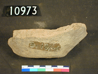 http://www.ucl.ac.uk/museums-static/digitalegypt/neolithic/archive/uc10973.jpg