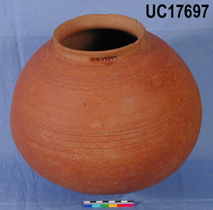 UC 17697, pottery vessel from Qau tomb 7755