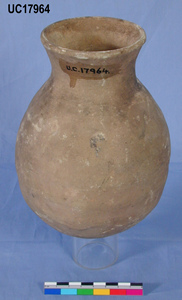 UC 17964, jar found in tomb  Zaraby 21