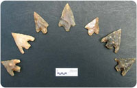 Photograph of the seven barbed-and-tanged arrowheads