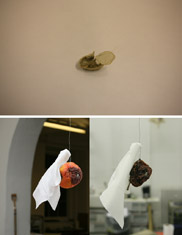Hye-Kyung Son, Untitled (half peanut)/Untitled(dry), 2011/2011