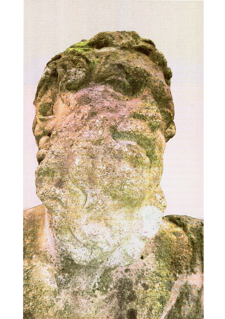 <p>Portrait of Silenus 1, 2012, digital poster print, variable dimensions</p>