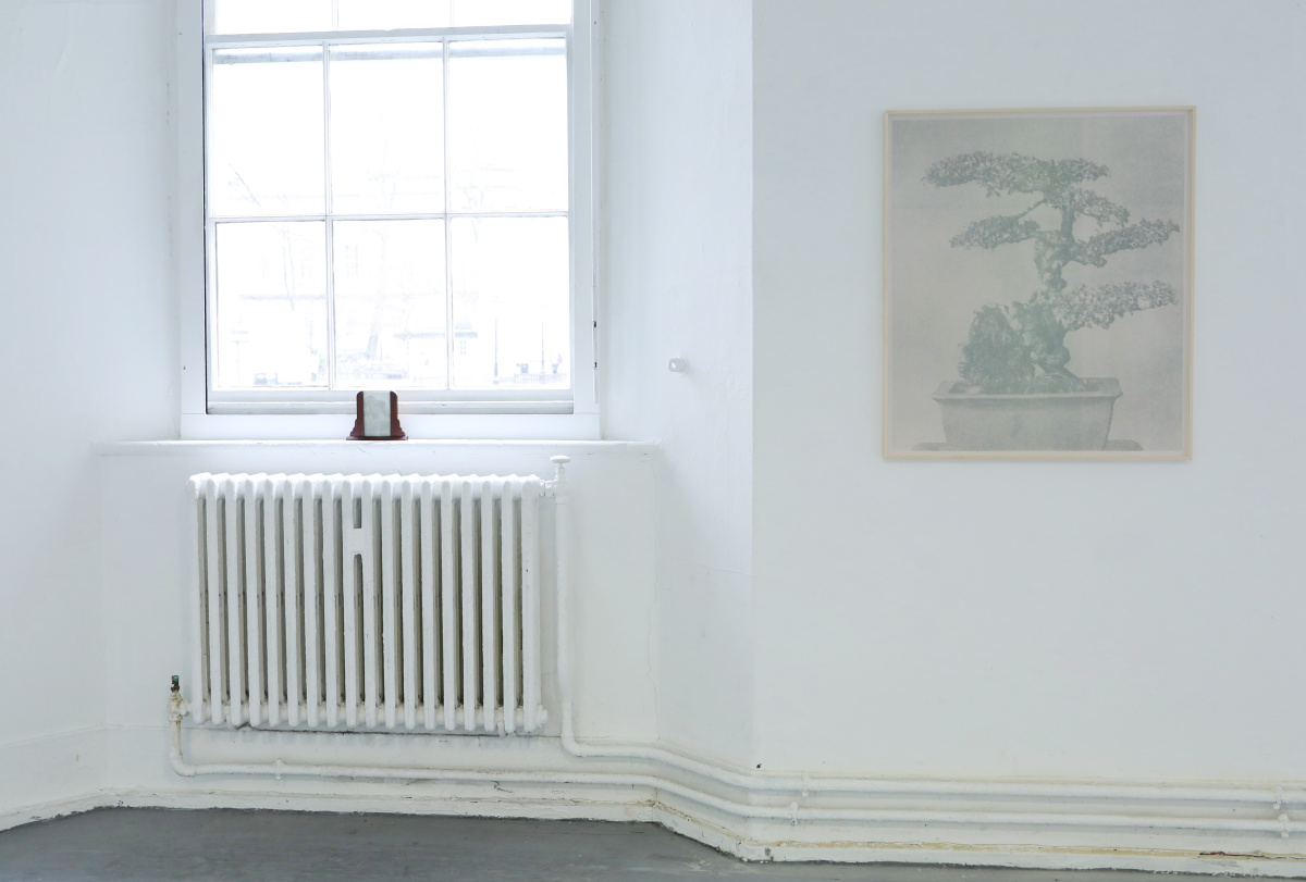 Installation Shot from PhD Viva: The Untitled from Wood, Water, Rock, Inkjet on kozo paper, Vintage frame, 17 x 16x 4 cm and The Untitled from Wood, Water, Rock, risograph, toner on uncoated paper, 90 x 78 cm Slade Research Centre, 2019 