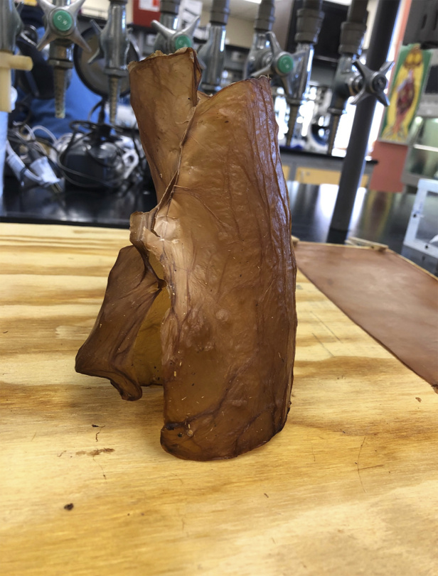 Experimenting with SCOBY as sculpture