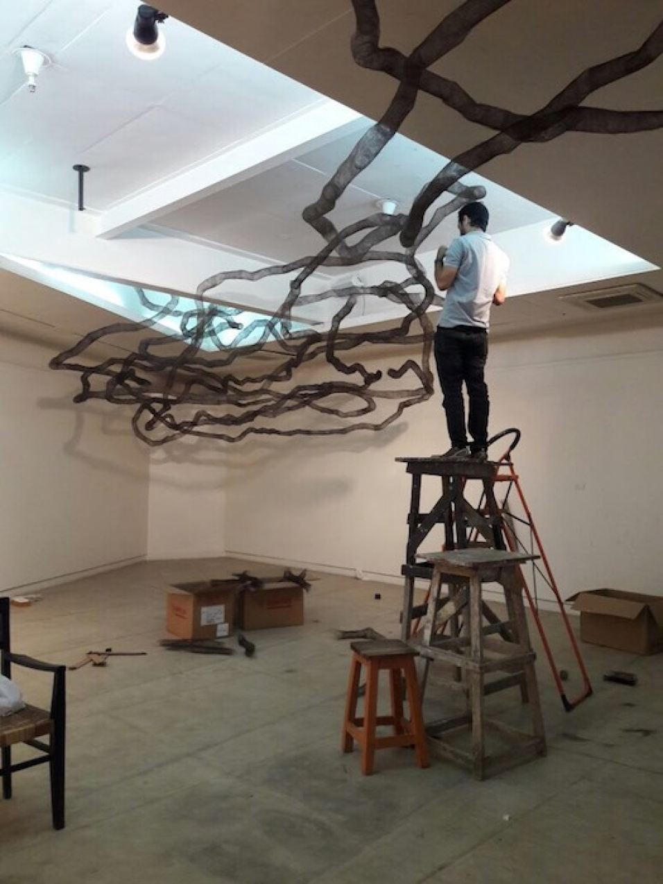 Ali Kazim - Karachi Biennale 2017 (installation)