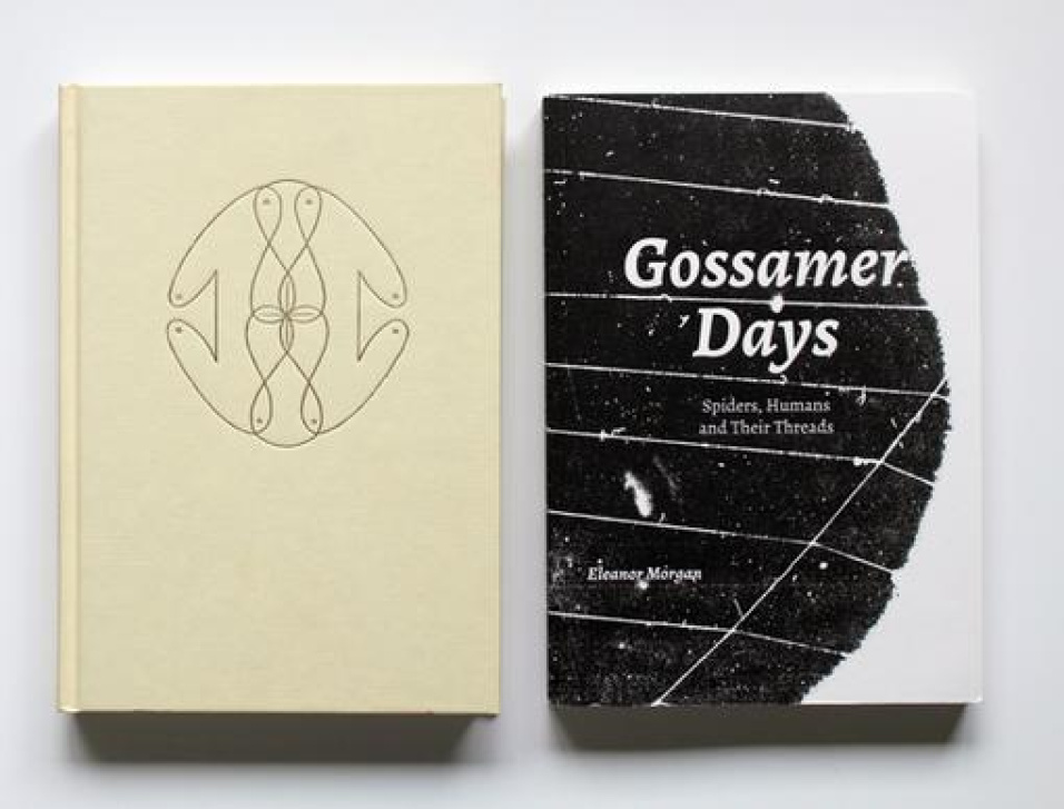 Gossamer Days, Eleanor Morgan