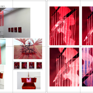 Red, paintings, conceptual photography, sculpture & video installation