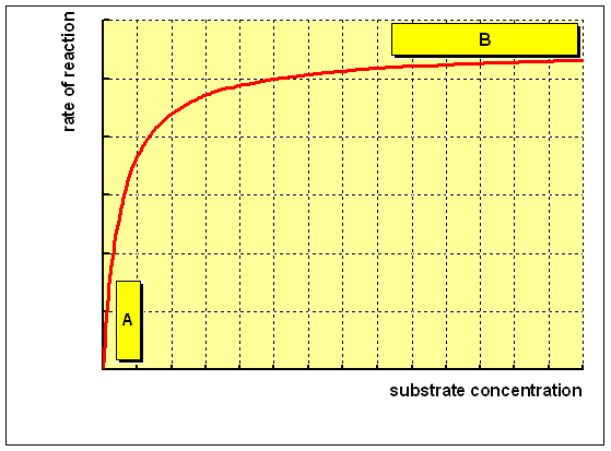  the rate of reaction and the concentration of substrate, as shown below:
