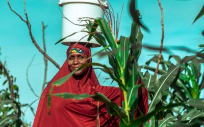 Nigerian woman standing by crops