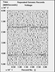 Repeated seismic record image