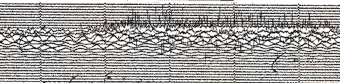 Section of the Berkeley Short Period Seismgogram
