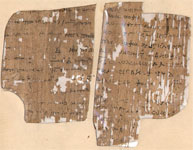 Thumbnail of P. Hawara 042 - Verso