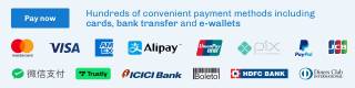 Logos showcasing some of the forms of payment that FlyWire accepts. This includes: Mastercard, Visa, AmEx, Alipay, UnionPay, Pix, PayPal, JCB, Trustly, ICICI Bank, Boleto, HDFC Bank and Diners Club International