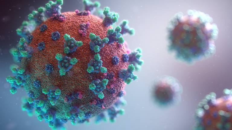 Picture of a coronavirus showing surface spikes, photo by Fusion Medical Animation on Unsplash