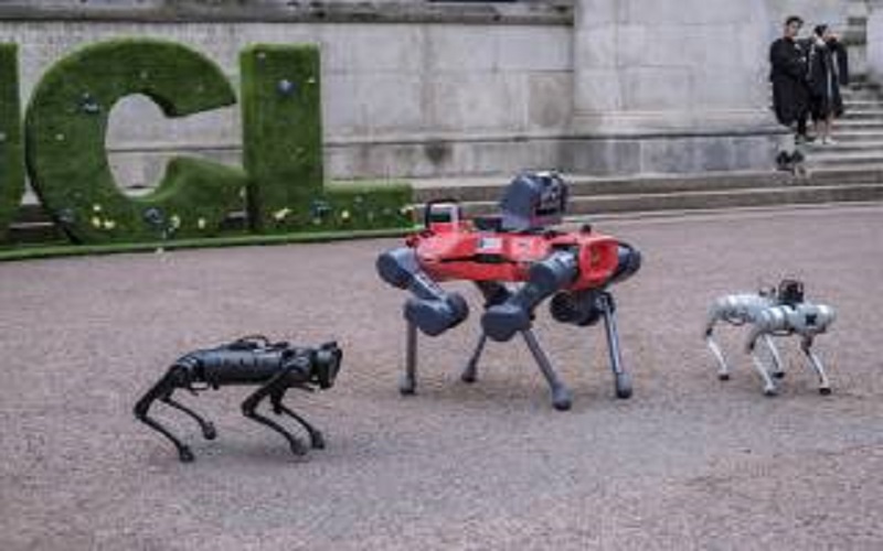 Robots in the UCL Quad