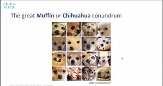 Images of muffins or chihuahuas that are difficult for an AI to read