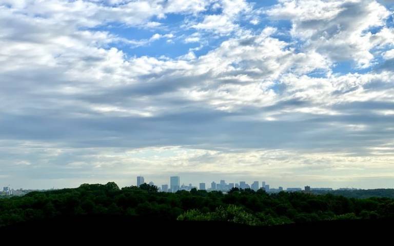 Photo of the Boston skyline with treetops in the foreground.