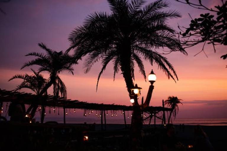 Decorative image of palm trees on a beach at sunset