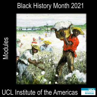 Module: AMER0034: From Slavery to Freedom? Race, Class, Gender and Union in the Nineteenth Century USA