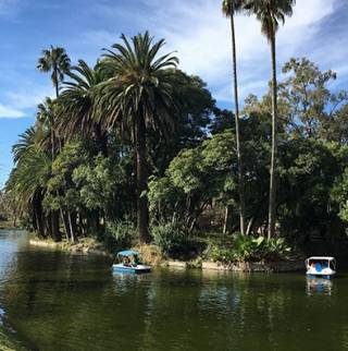 Photograph of a park in Montevideo, Uruguay, showing an artificial lake, a couple of rowing boats and luxuriant vegetation; taken by UCL alumna Honor Sullivan-Drage during her fieldwork trip