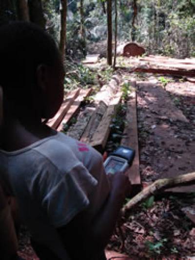 Baka youth maps illegally felled trees, Cameroon 2007