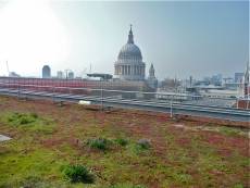 green roof small