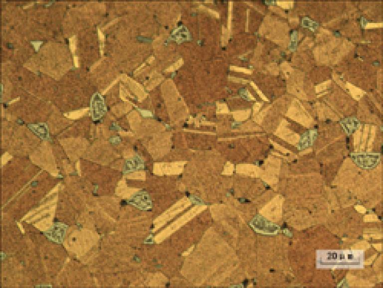 Metallography of annealed bronze