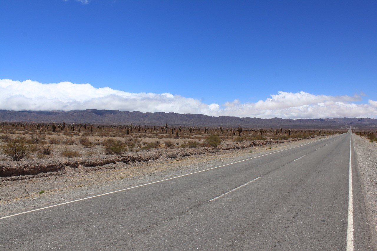 A long road dissapears into the distance, where mountains stretch on either side. A landscape of cacti and shrubs border the road.