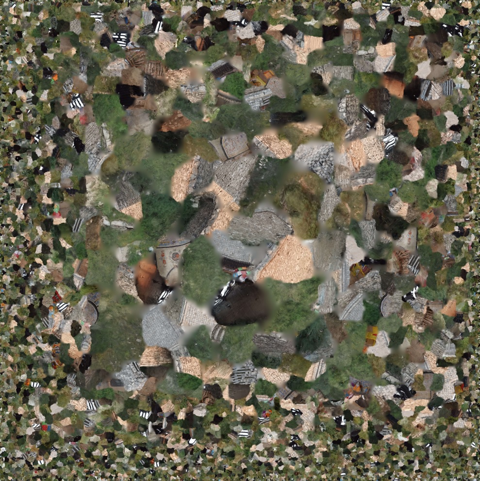 Many fragmented photos make up a detailed collage; the photos in the middle are larger, and those round the edges are smaller. The overall colour scheme is green, cream, grey, and brown.