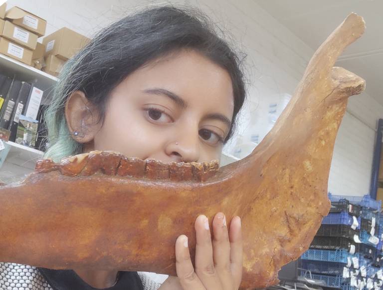 Neehaarika horsing about with a horse jaw