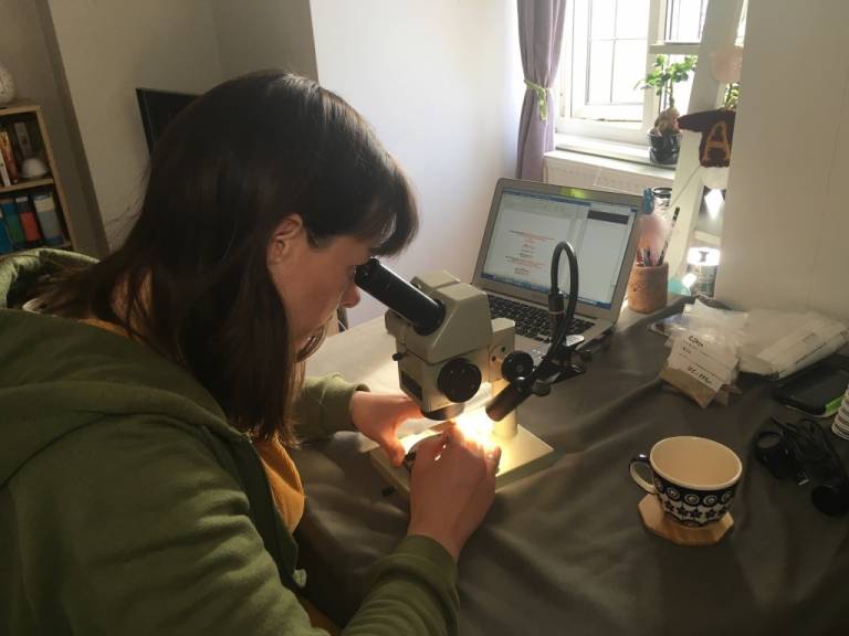 Alice looking down a microscope in her home office