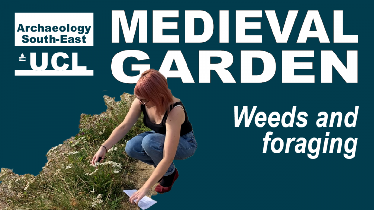 A cut out of Lorna crouching by some cow parsley on a dark blue/green background. The text reads ASE’s Medieval Garden: Weeds and Foraging