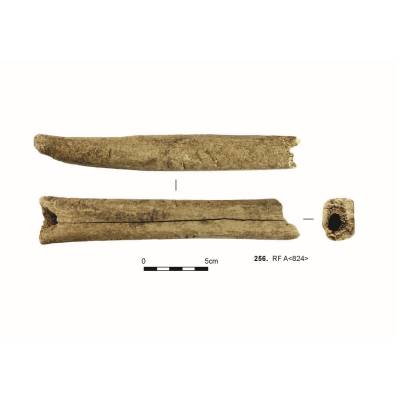 An archaeological bone skate, approximately 20cm long and 3cm in diameter, fashioned from a single bone. A second photo of the side profile shows the bone has been shaped to be slightly upturned and pointed at one end.