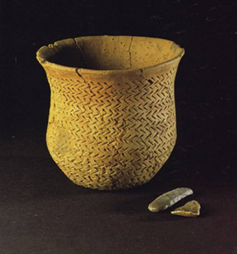 Beaker pottery (Image copyright: The Trustees of the Natural History Museum, London)