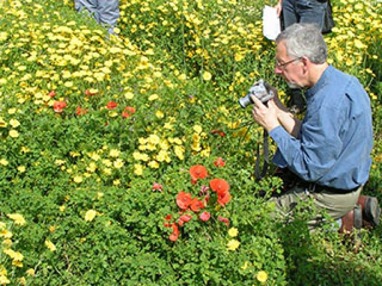 Gordon Hillman photographing wild flowers during the IWGP excursion near Girona, Spain (2004)